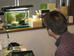 200904-0231 200904-0231