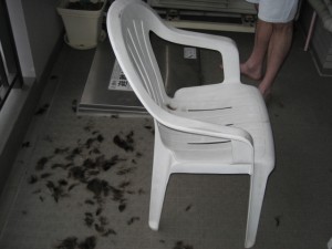 200905-003 200905-003