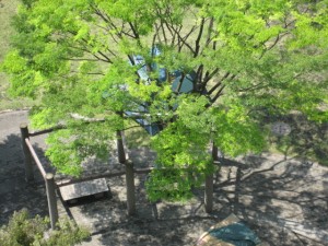 200905-006 200905-006