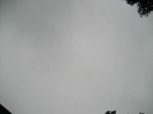 2009.07.0016 001 2009.07.0016 001