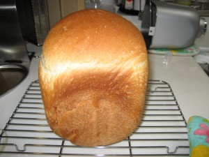 2009.07.0016 048 2009.07.0016 048