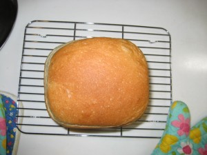 2009.07.0016 050 2009.07.0016 050