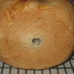 2009.07.008 007 2009.07.008 007