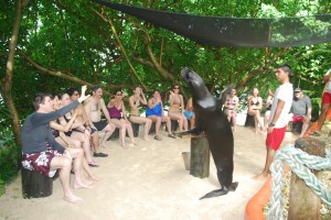 DSC_0001-3-3 DSC_0001-3-3