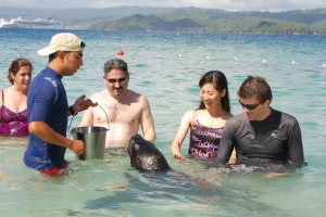 DSC_0123-2-2 DSC_0123-2-2