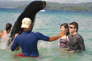 DSC_0151-2 DSC_0151-2