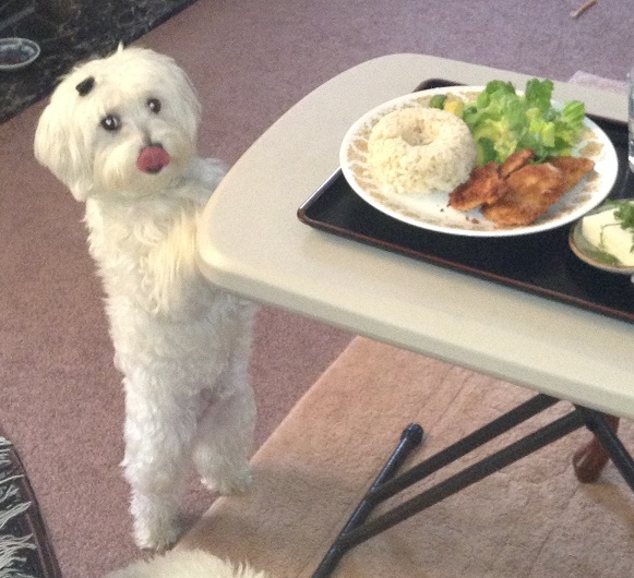 うっしっしっ。。。